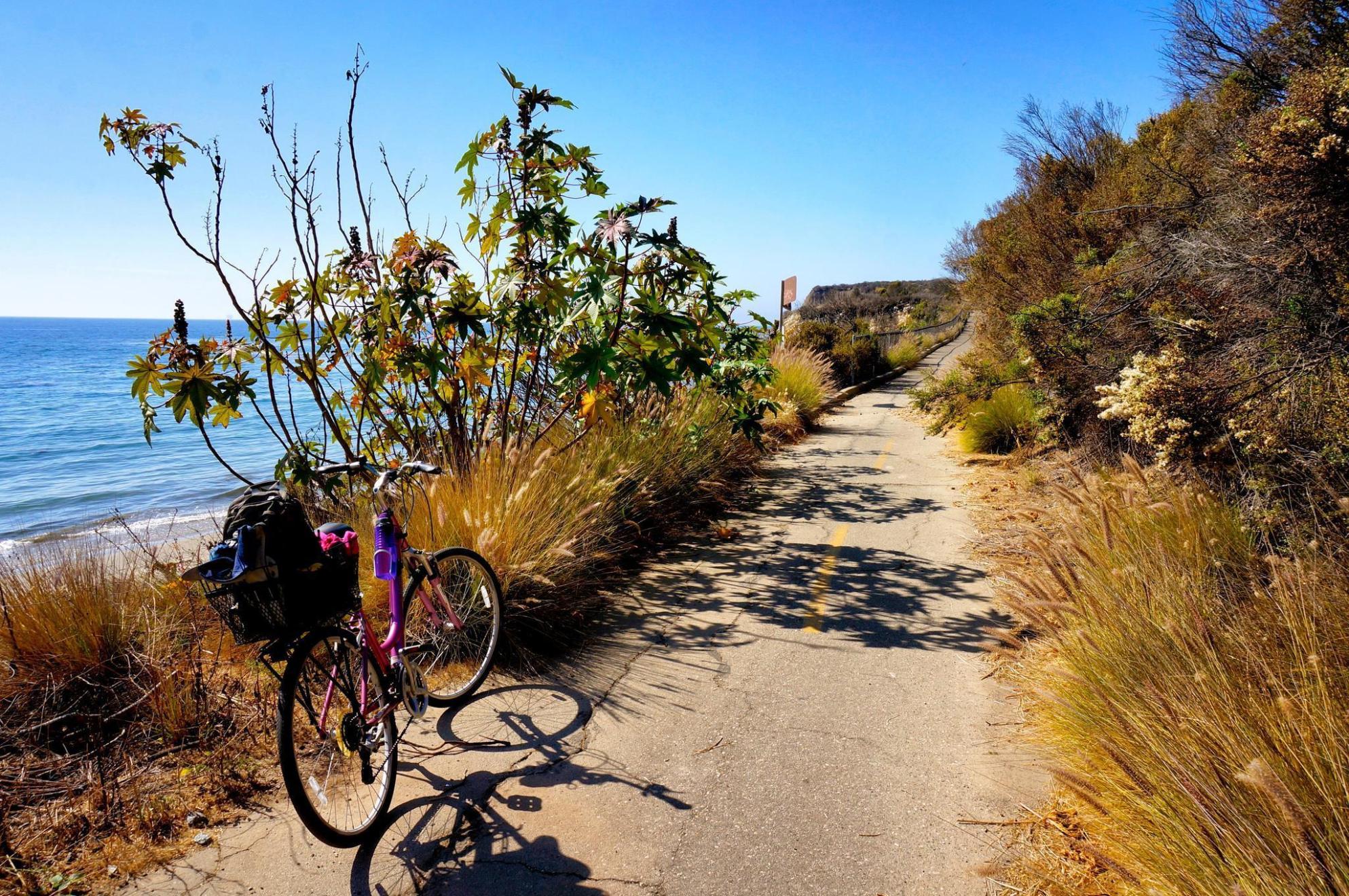 Raleigh DETOUR 4.0  Pink