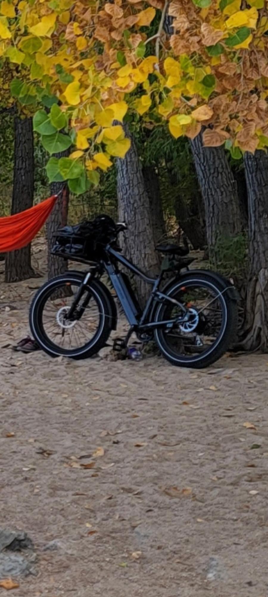 2023 Rad Power Bikes Rad Rover 6 Plus Black