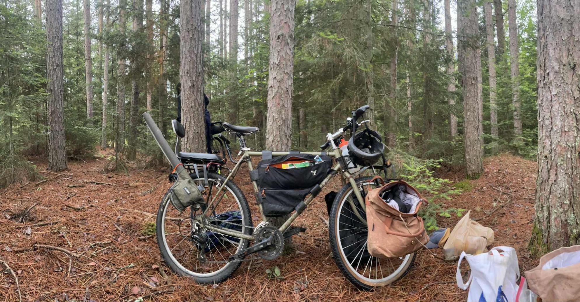 1985 Schwinn Woodlands Green