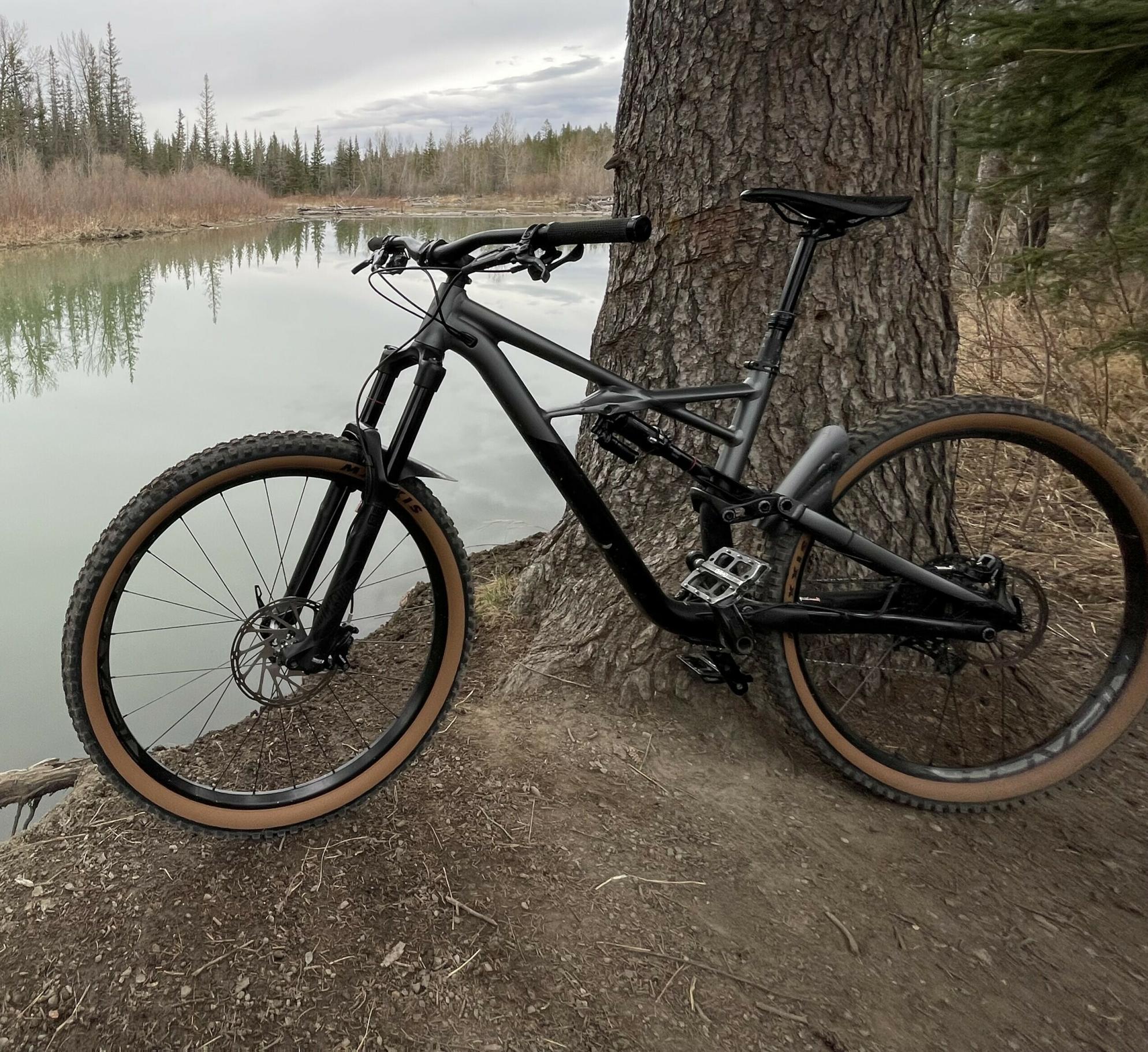 2017 Specialized Enduro 29 Silver, gray or bare metal