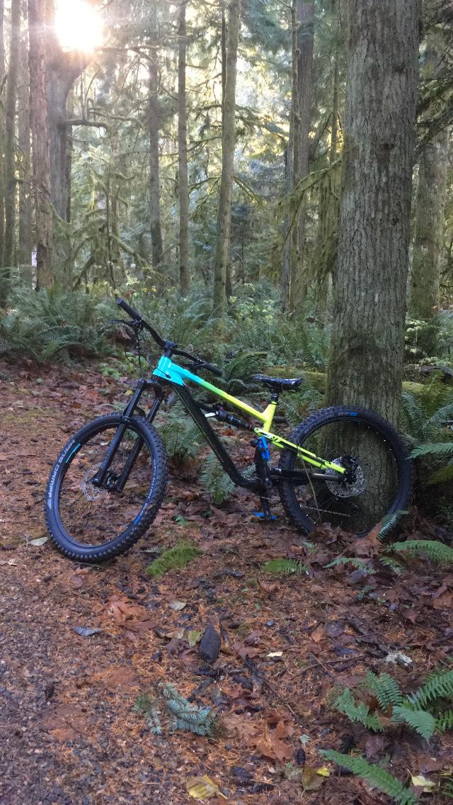 2021 Polygon Siskui T7 Teal, Green, and Black