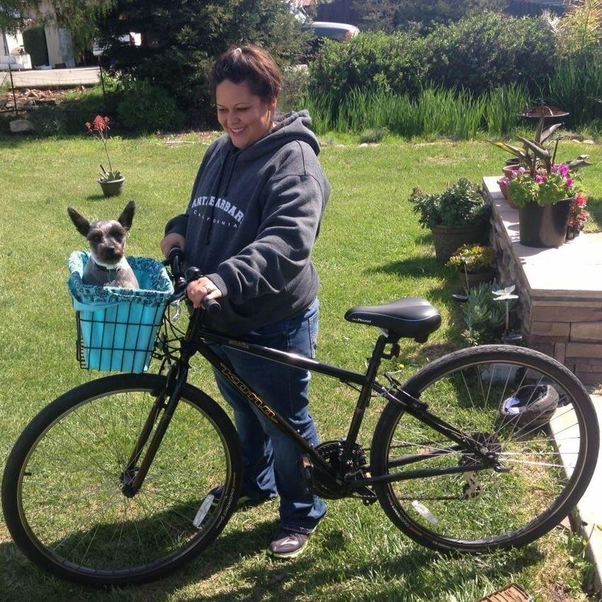 Kona 26er Black and Yellow or Gold