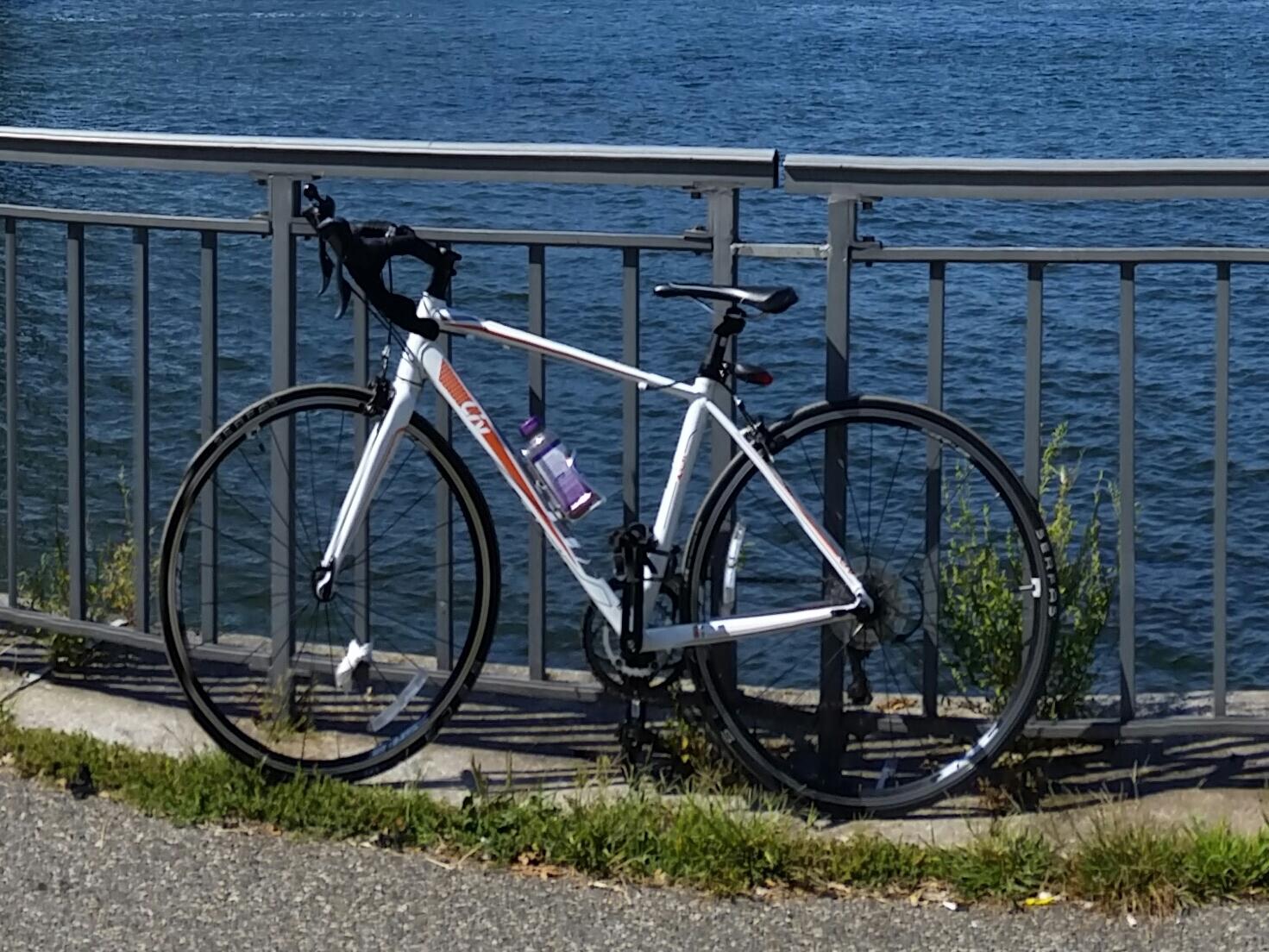 2015 Giant Avail 5 White