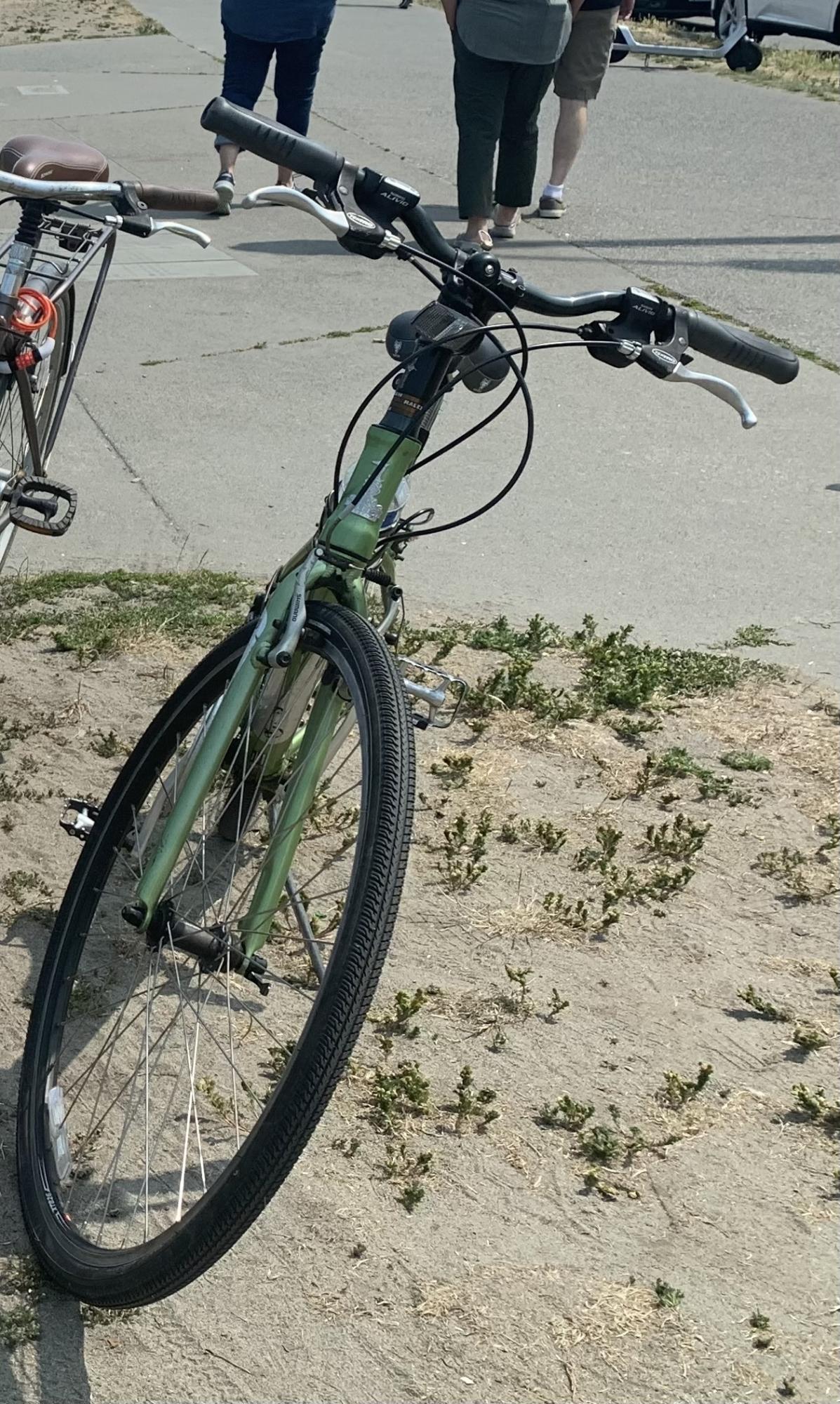 2012 Raleigh Green