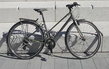 Giant Liv Silver or Gray