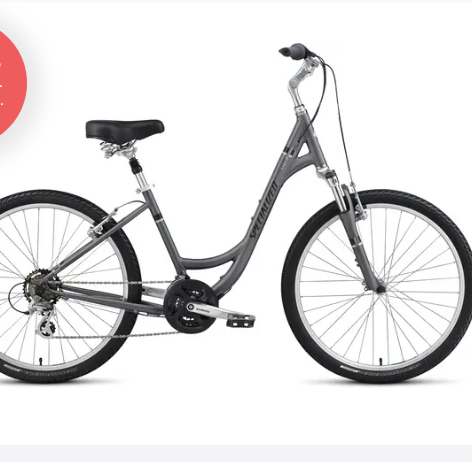 2007 Specialized Expedition Elite Women's Silver, gray or bare metal