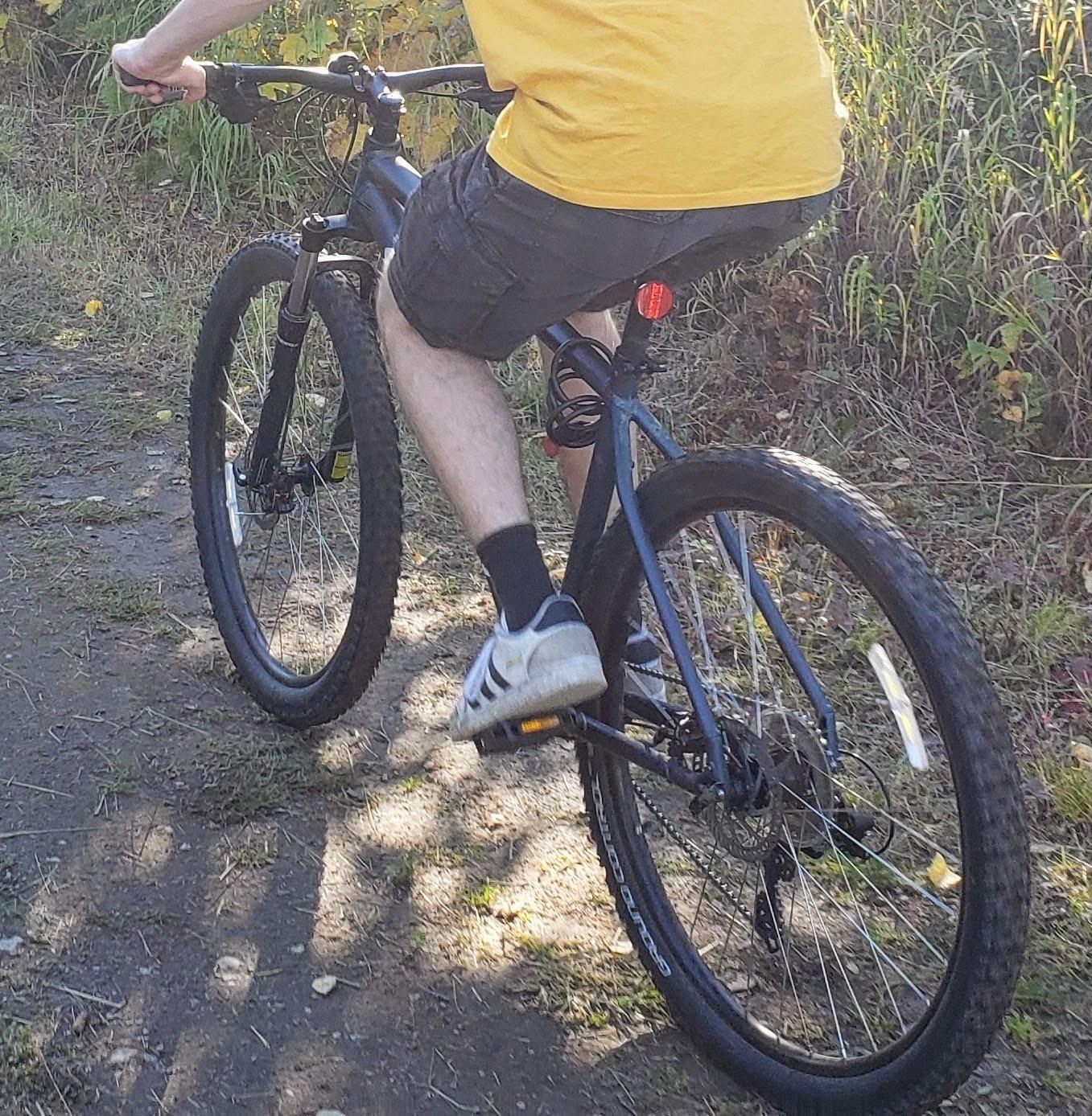 2022 Specialized Rockhopper Silver, gray or bare metal