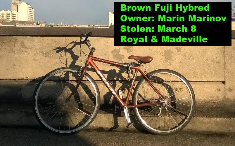 Fuji Hybrid Brown