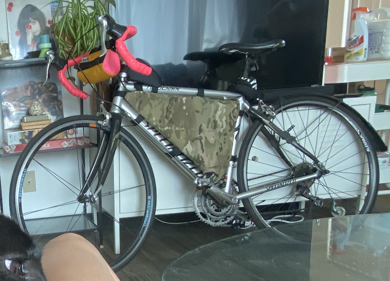Specialized Roubaix Silver, gray or bare metal