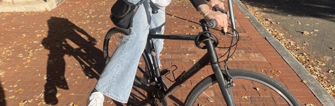 2018 Trek Black and Blue