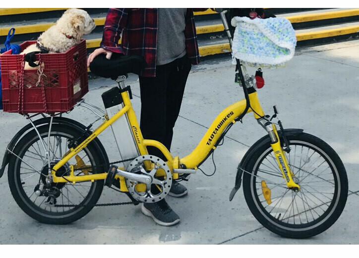 Other Yellow or Gold