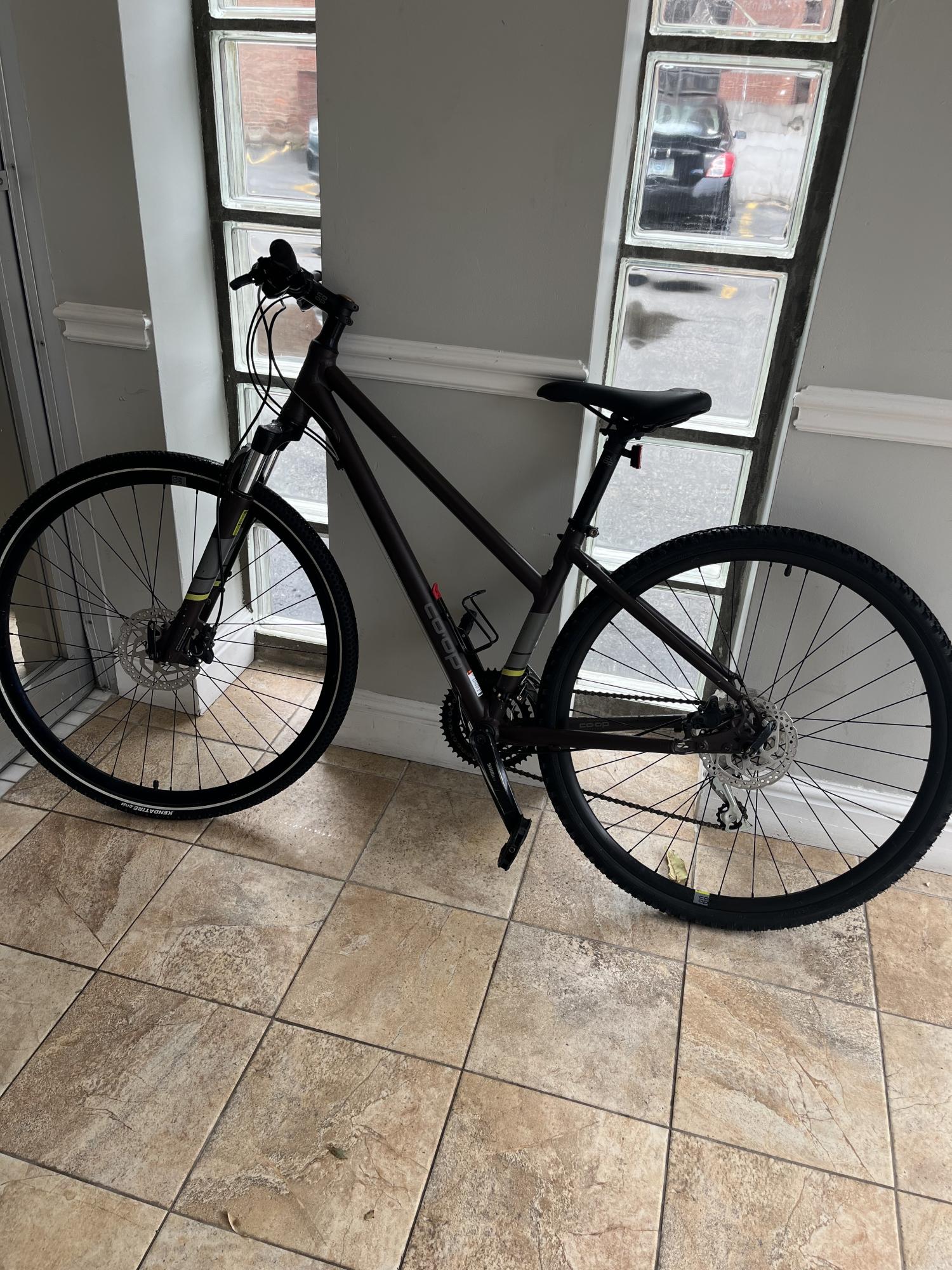 REI Co-op CTY 1.1 Step through Purple