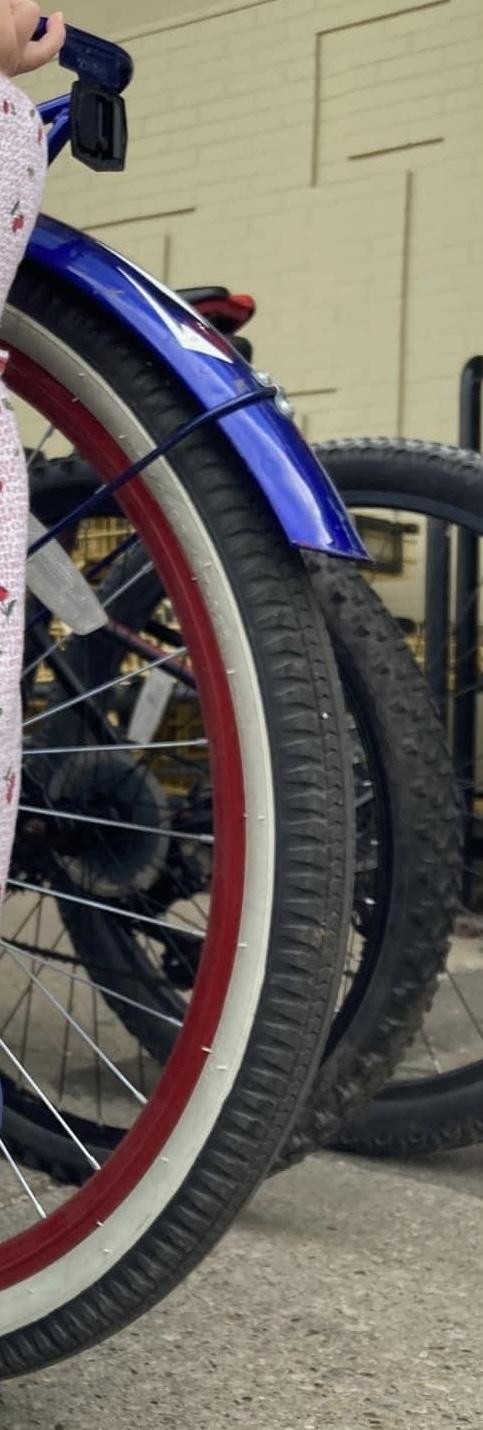 Schwinn Delmar mens comfort Blue