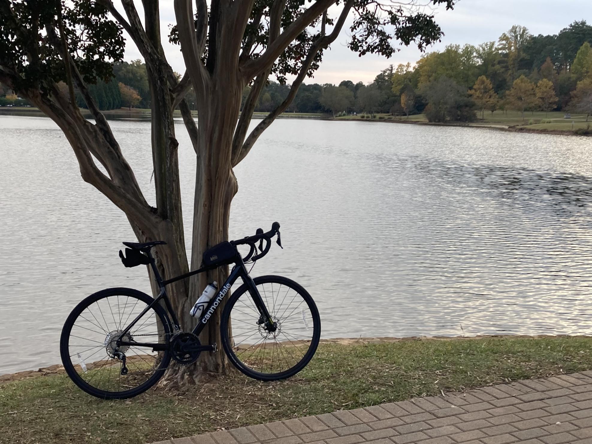 2022 Cannondale Synapse Carbon 4 Black