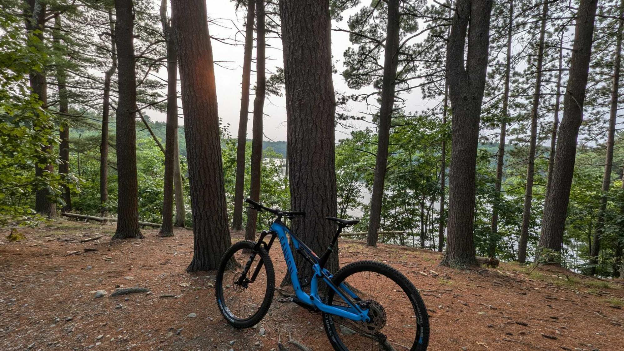 2022 Canyon bicycles Neuron CF 8 Blue
