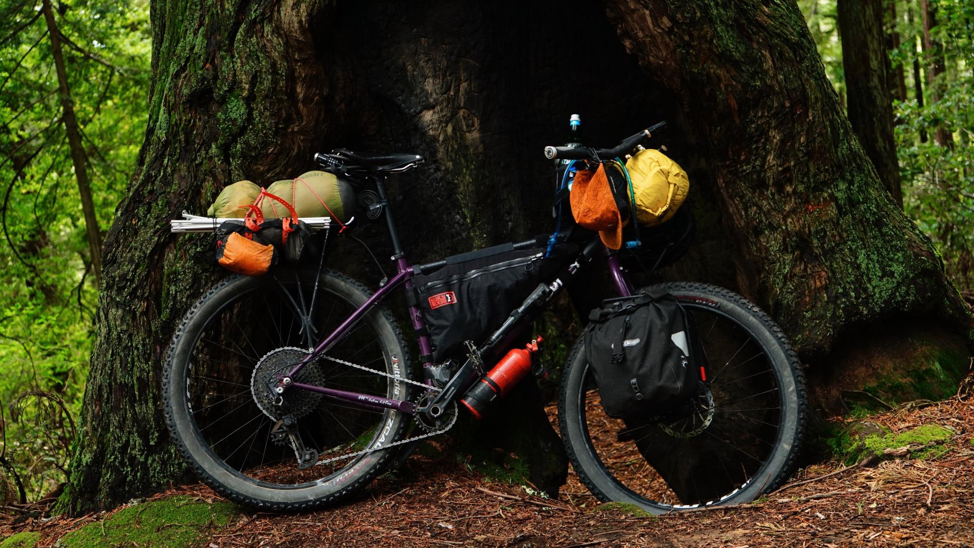 2023 Surly Karate Monkey Purple