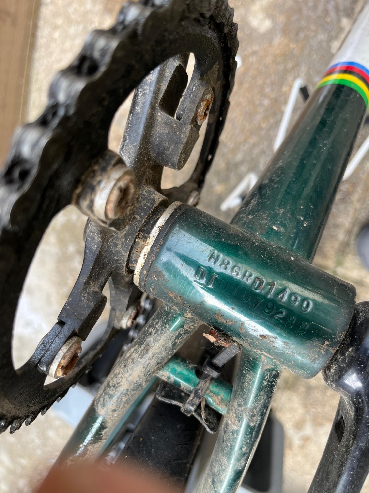 Bianchi San Jose Green