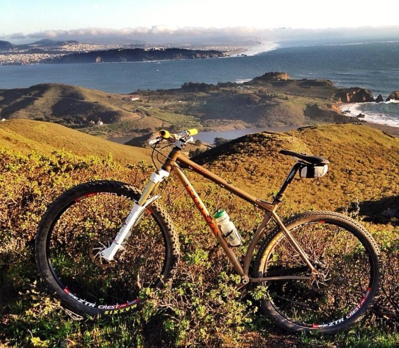 2014 Kona HONZO Brown, Yellow or Gold, and Orange