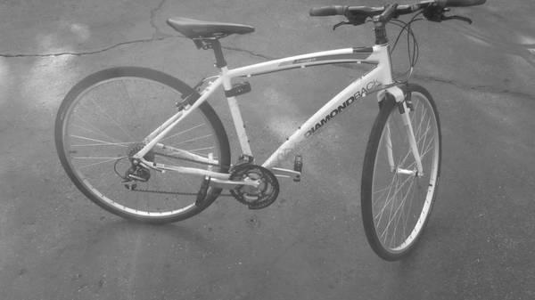 2010 Diamondback Insight  White