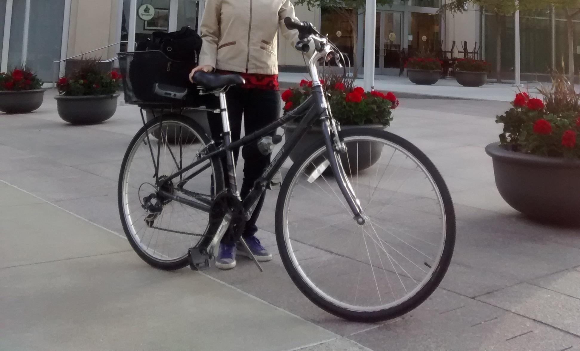 2014 Raleigh Detour 3.5 Silver or Gray