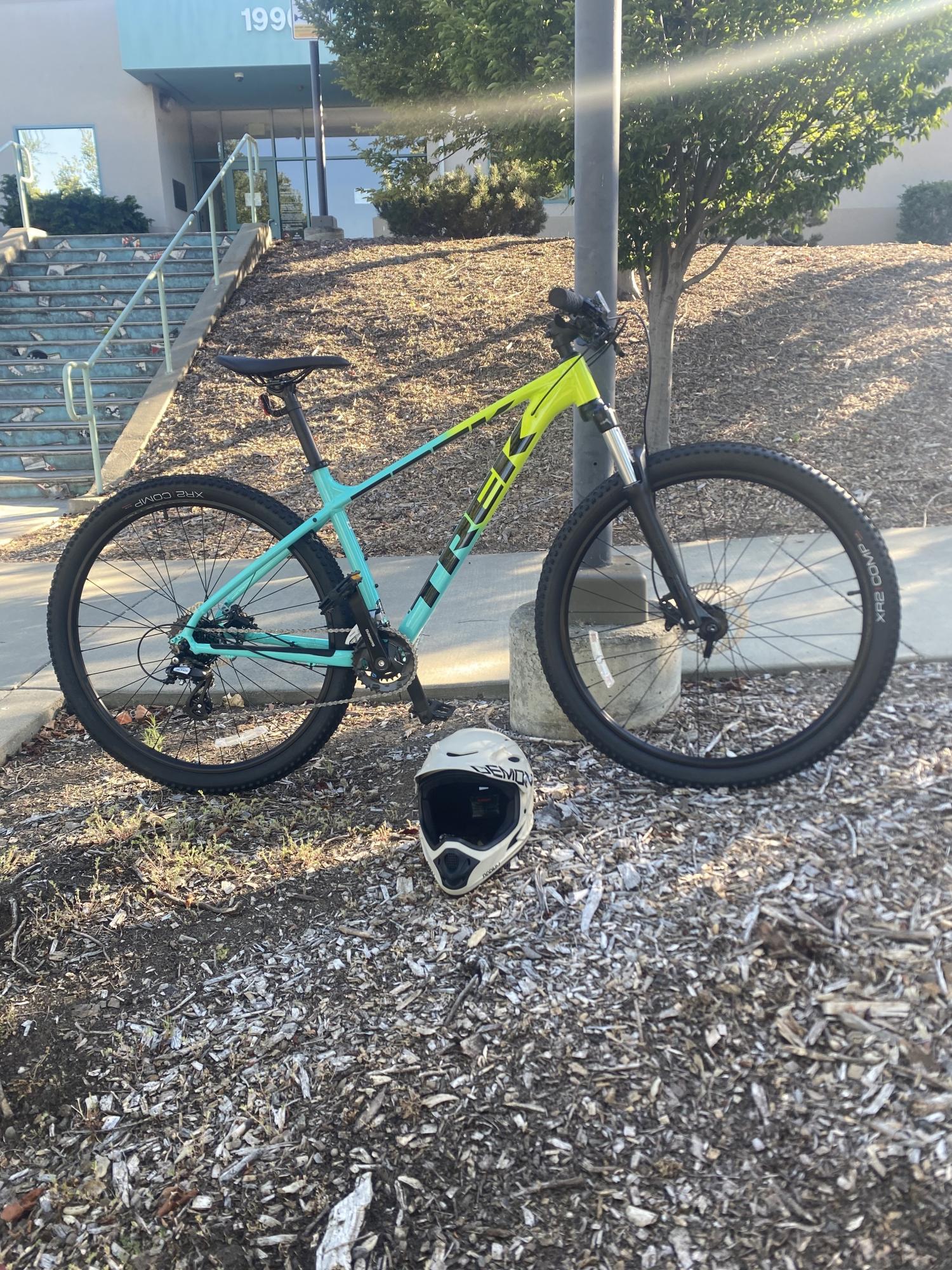 2024 Trek Marlin 5 Green