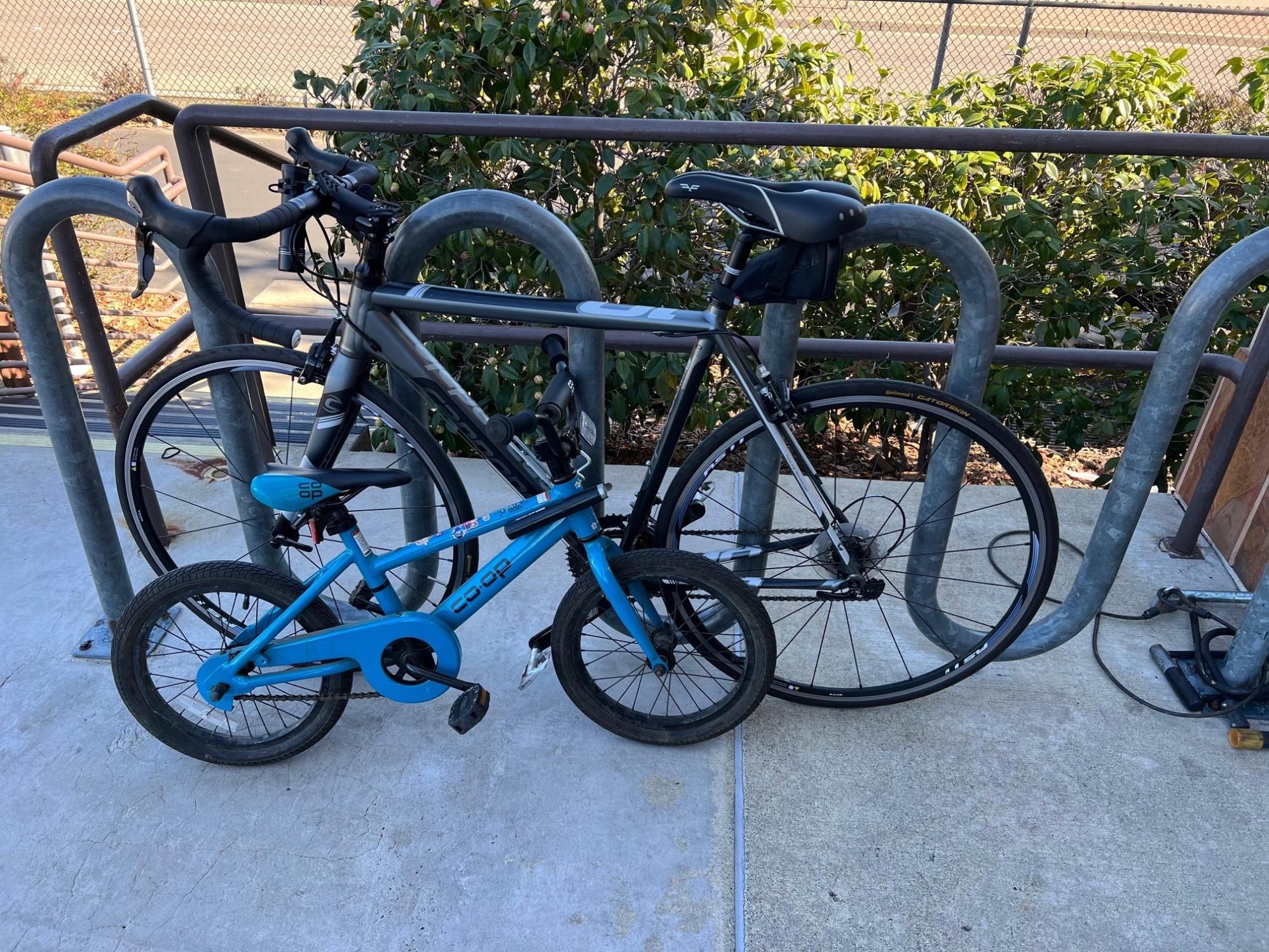 2015 Cannondale Caad10 Silver, gray or bare metal