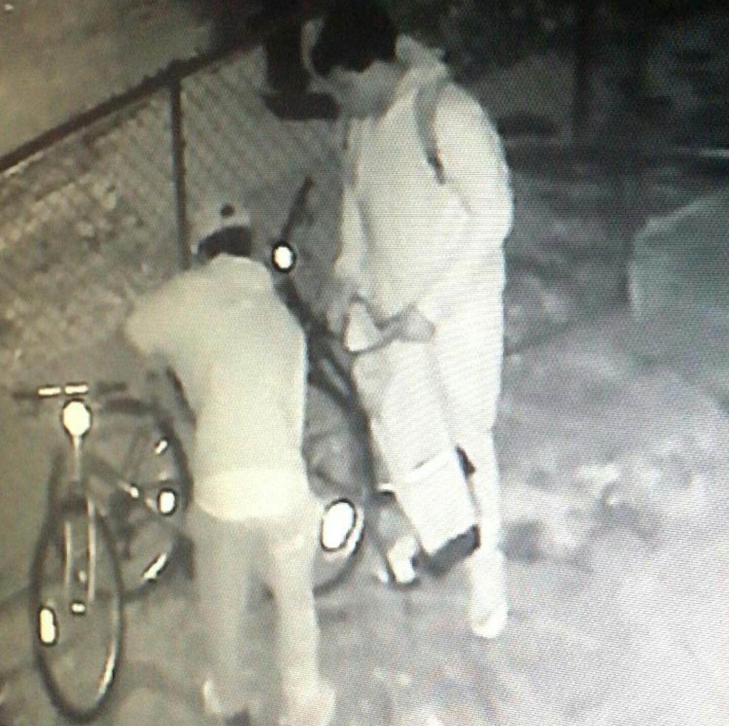 Shogun 52676 Black and Red