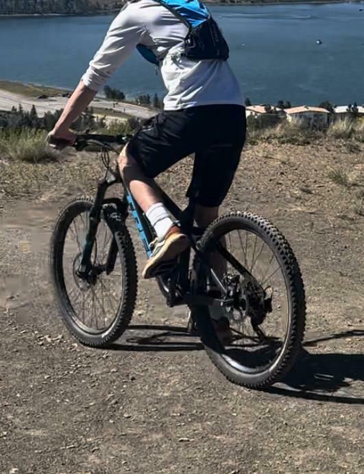 Trek Remedy 9.8 Black and Blue