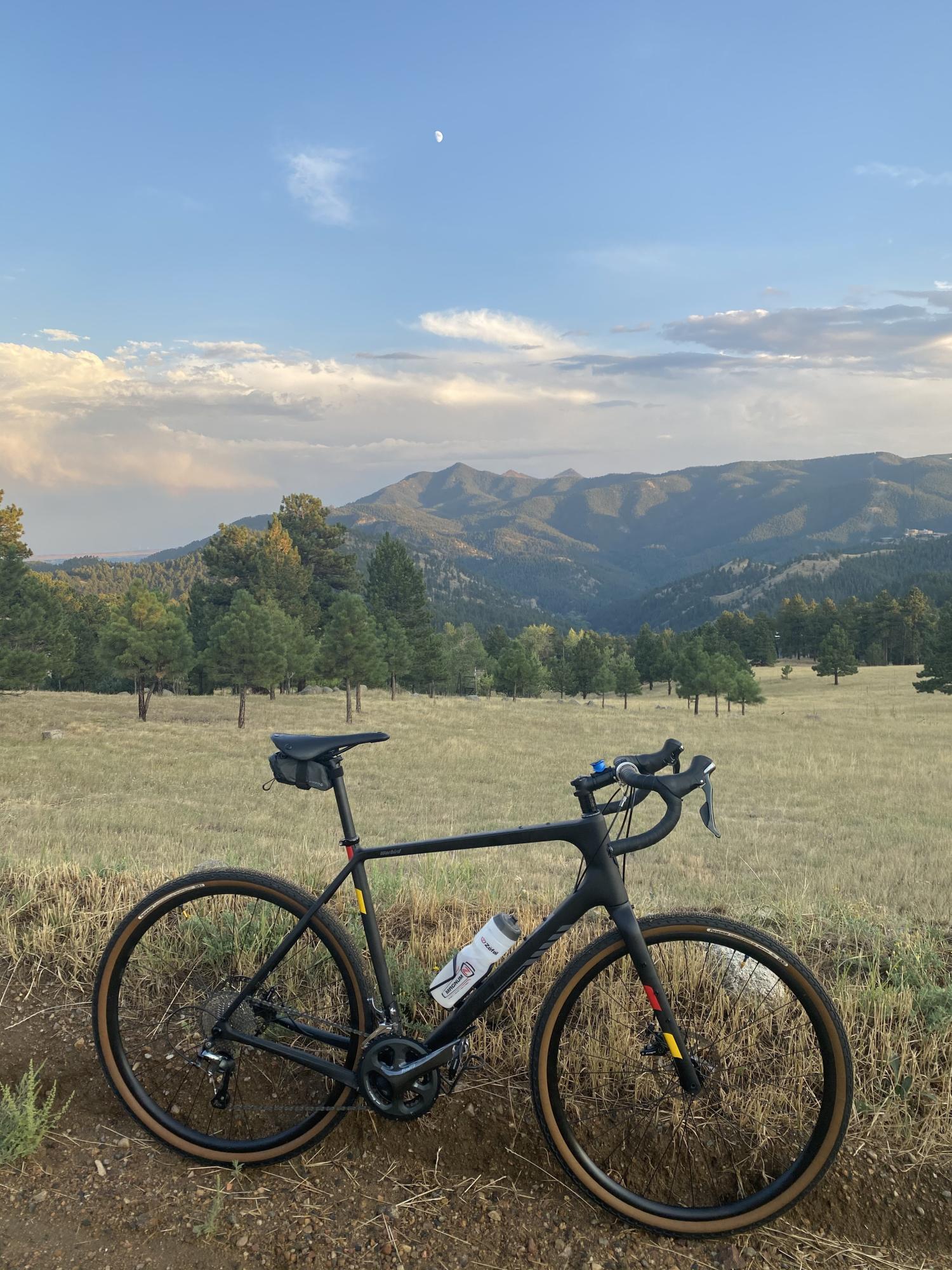 2019 Salsa Warbird Black