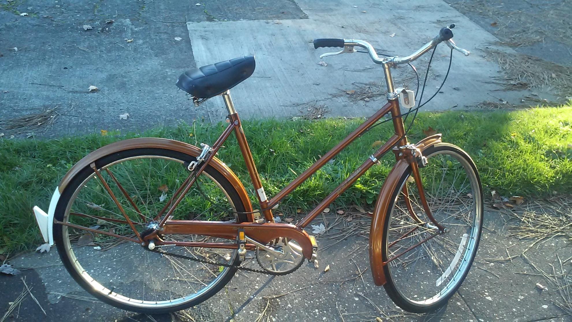 1974 Raleigh Sports Brown