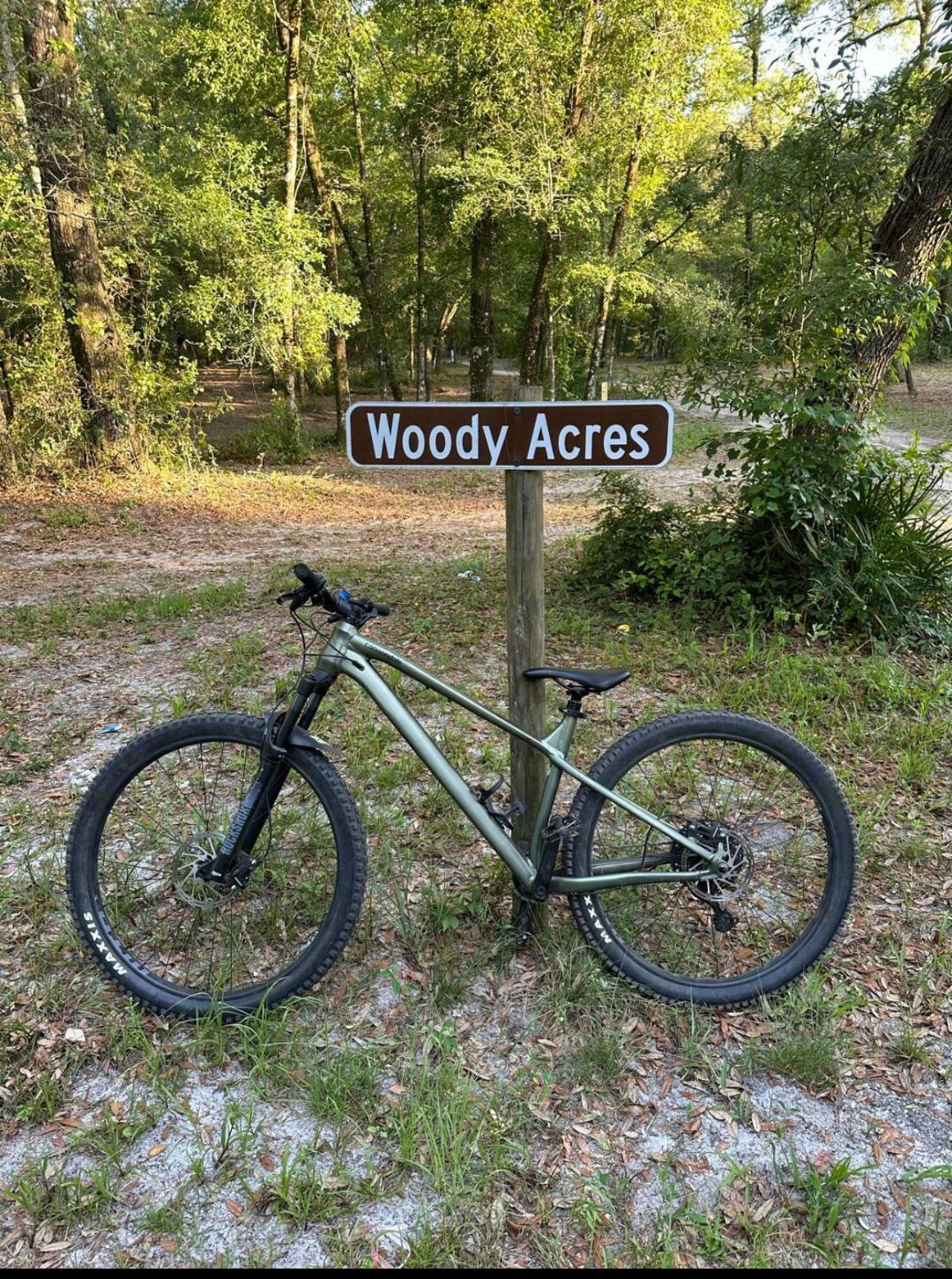 2024 Cannondale Habit 2 Green