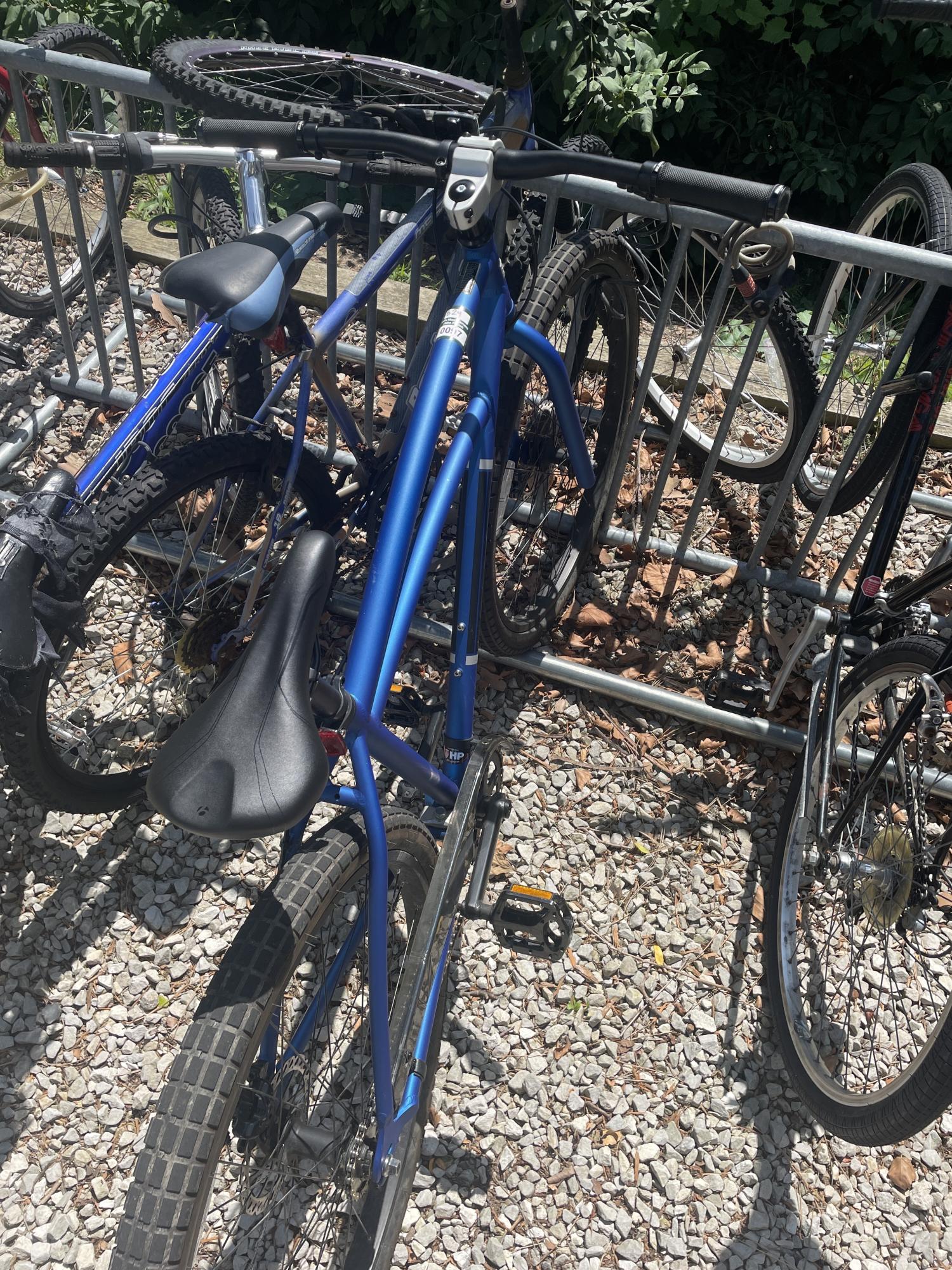 Trek Electra Blue