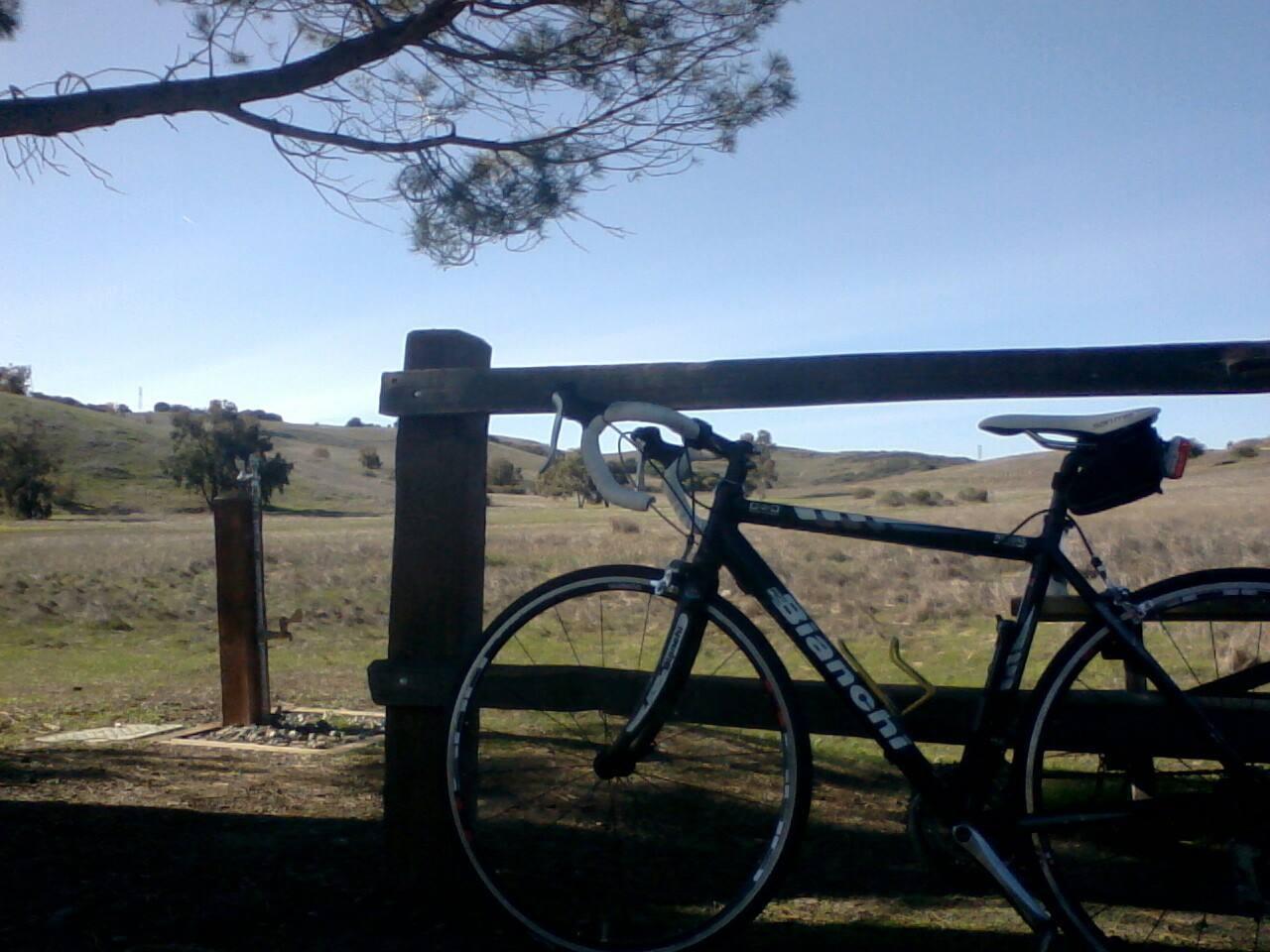 2008 Bianchi Via Nirone 7  Black and White