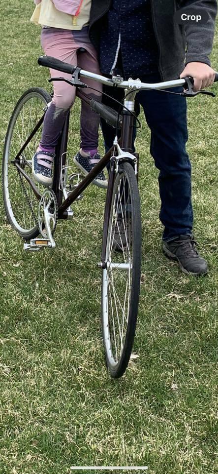 2006 Surly Steamroller Brown