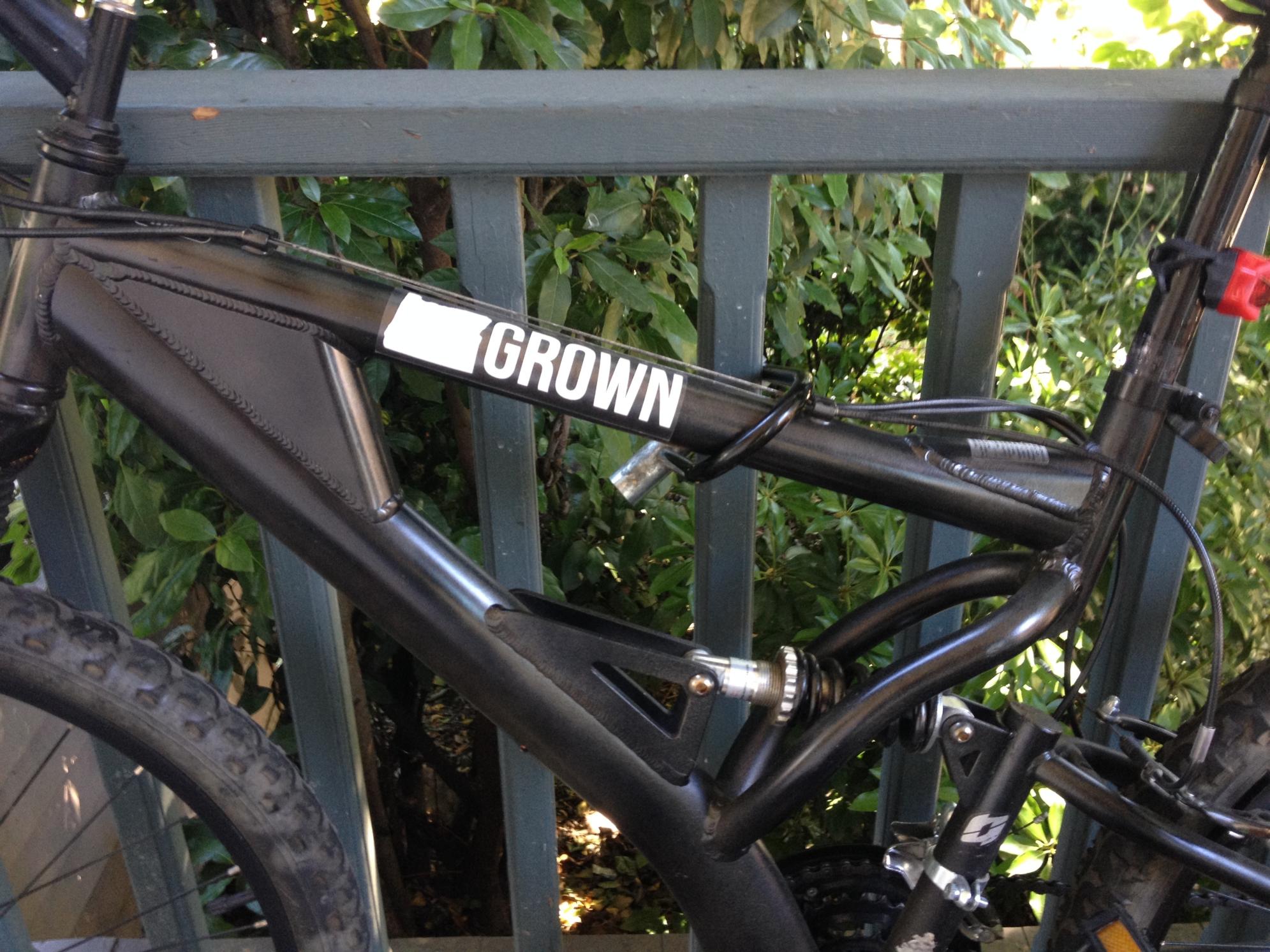 2015 Other Thick men's mountain bike Black