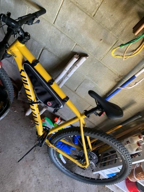 2022 Specialized Rockhopper Pro Yellow or Gold and Black