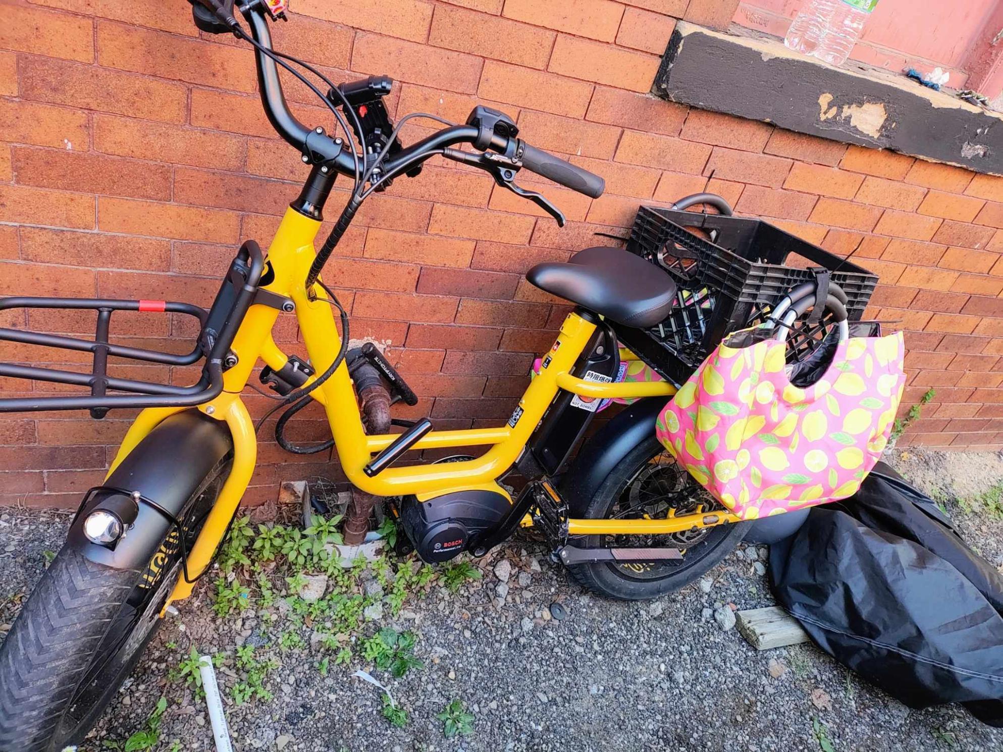 2020 Benno RemiDemi Yellow or Gold