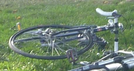 Schwinn unknown...12 speed w/ downtube shifters  Blue and White