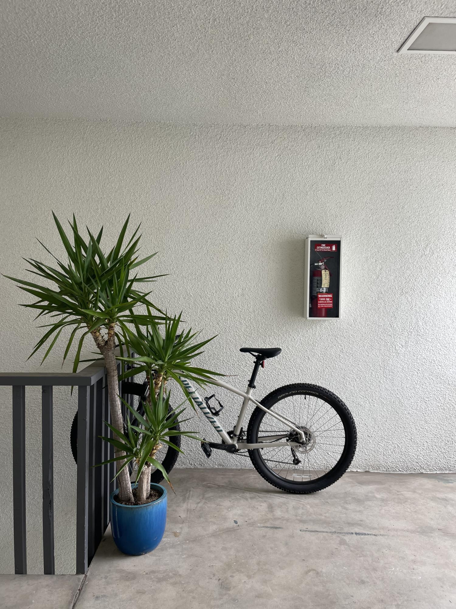 2019 Specialized mountain bike Brown