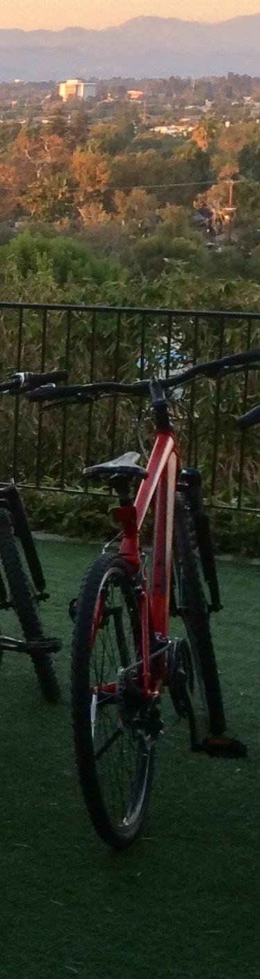 2014 Giant Roam 0 Red