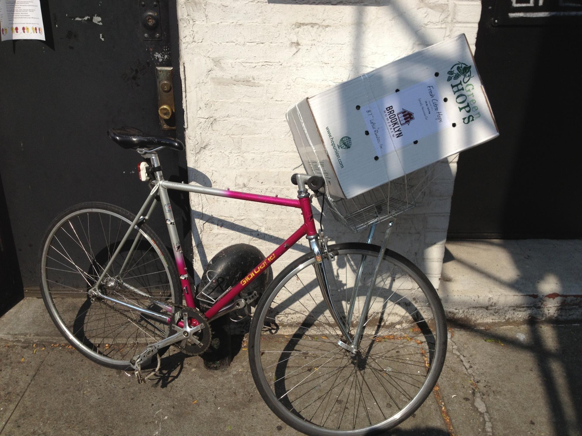 Giordano Antares Pink