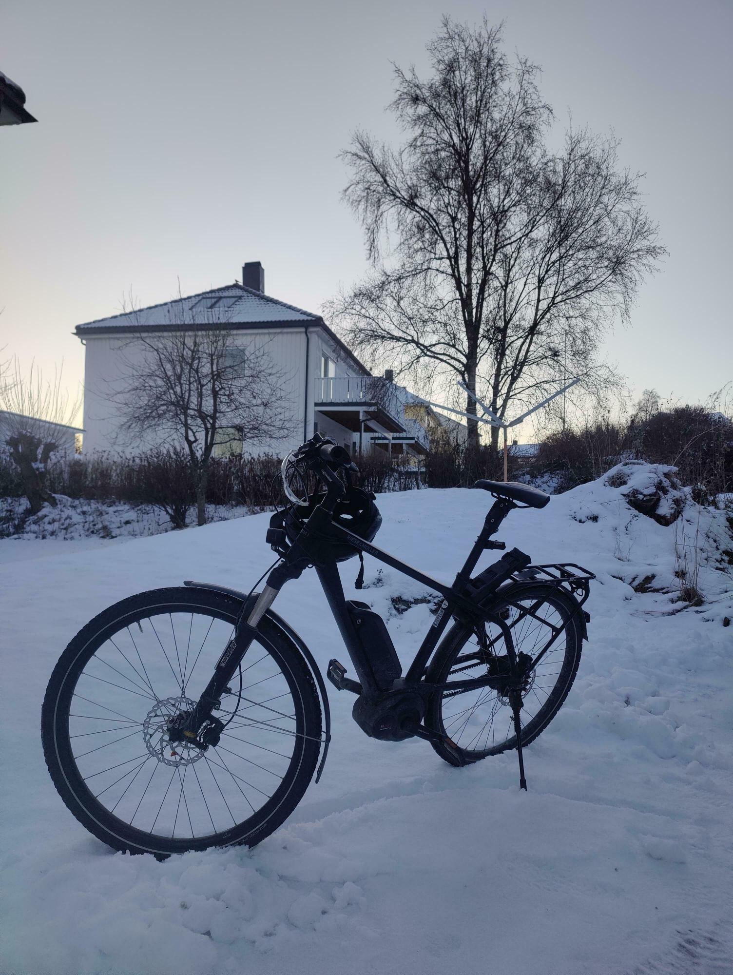 2017 Riese & Müller Charger Nuvinci Black