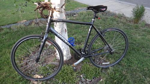 Trek 7.3 FX Silver or Gray