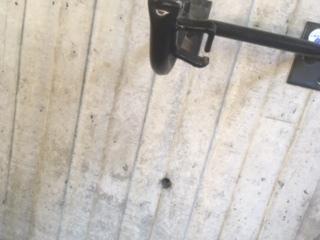 KHS Bicycles Citybikes Mixte Teal