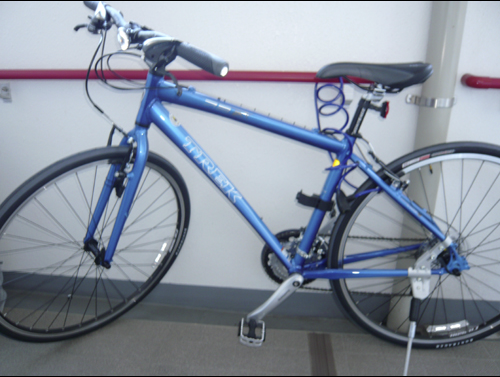 2007 Trek 7.3 FX  Blue