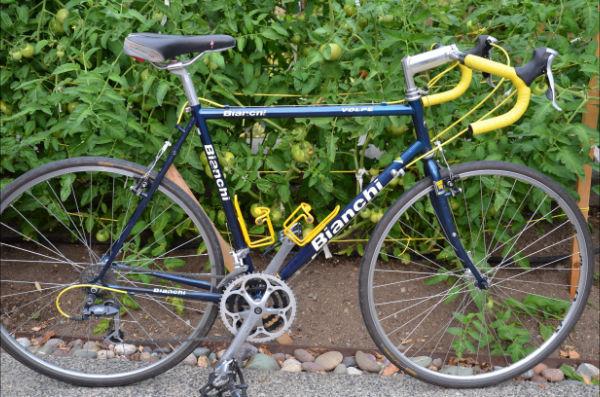 2000 Bianchi Volpe  Blue