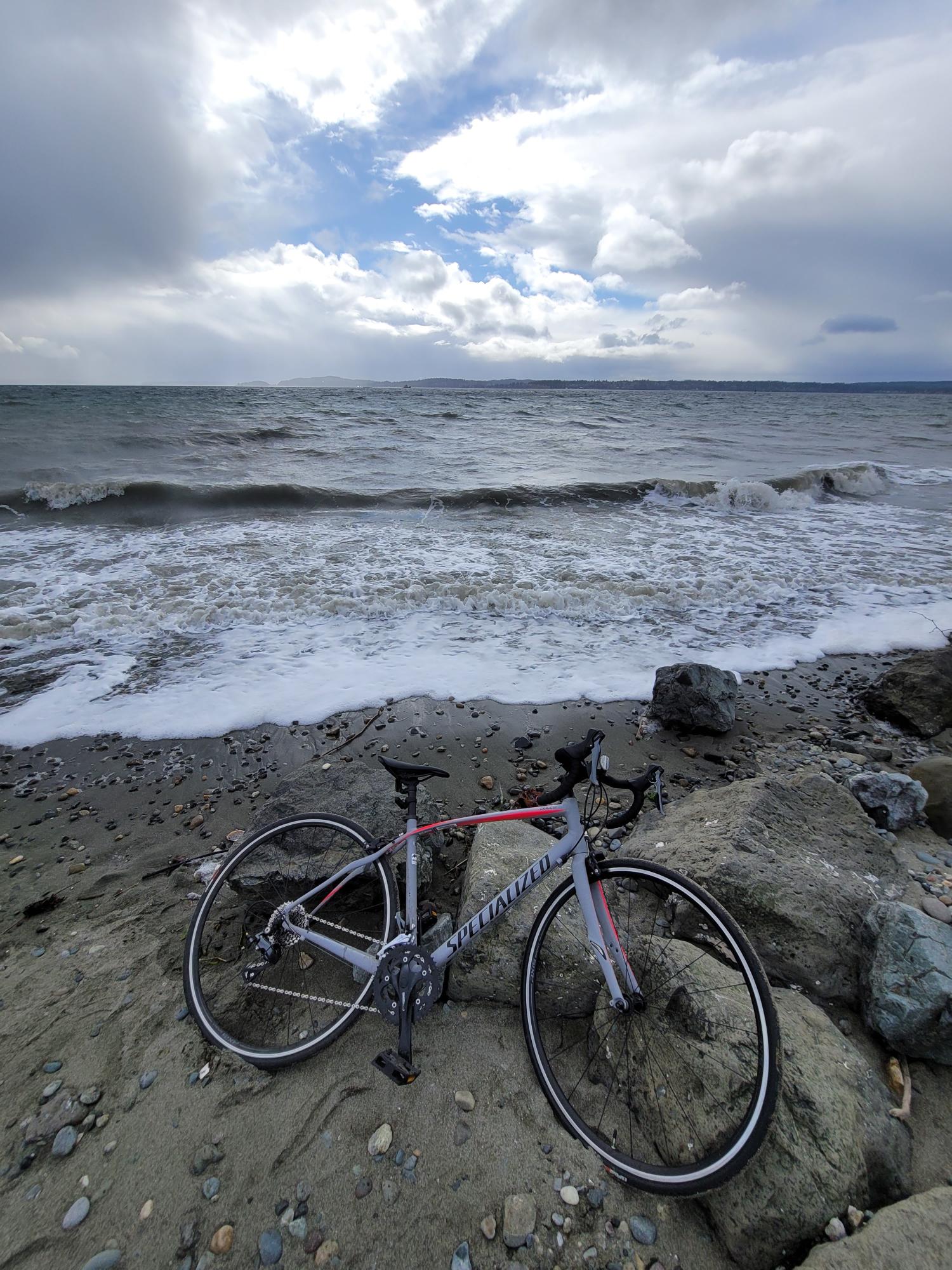 Specialized Dolce Pink, Black, and Silver, gray or bare metal