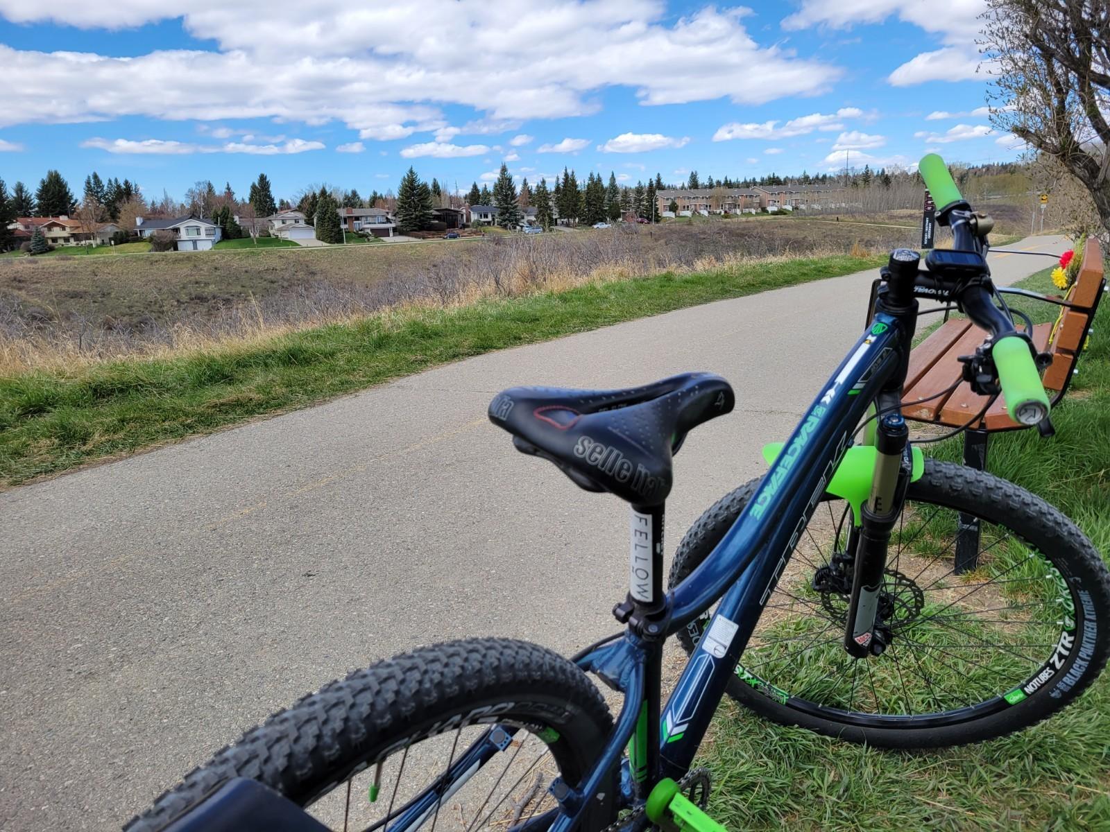 2014 Trek Skye SL Blue and Green