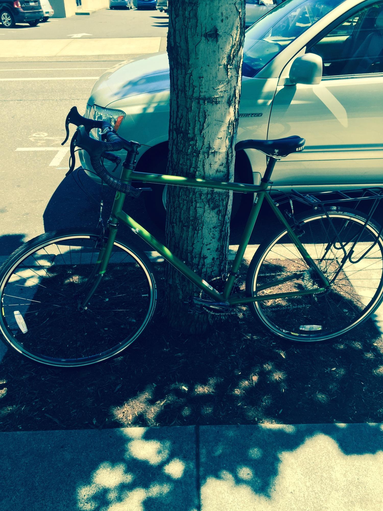 2015 Novara Randonee Green