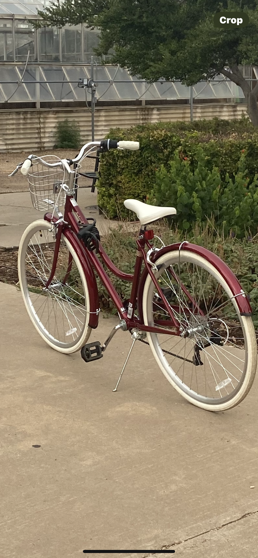 2024 Schwinn Amherst Red